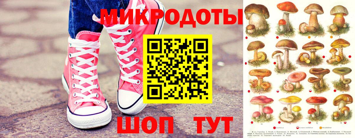 Березники  Псилоцибиновые грибы мицелий  Вход с VPN  купить наркотик  Галлюциногенные грибы прущие грибы 