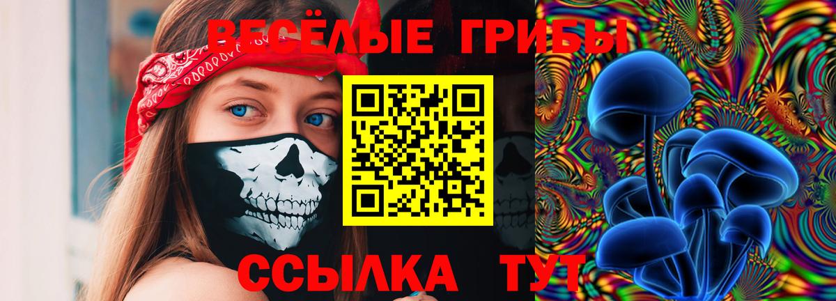 Галлюциногенные грибы Cubensis Березники