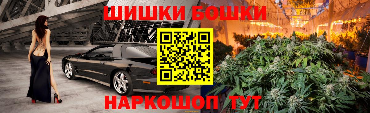 Конопля сатива Березники